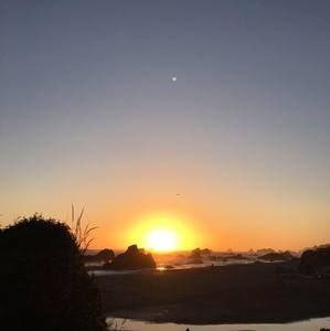 Meet your Posher, Deanne